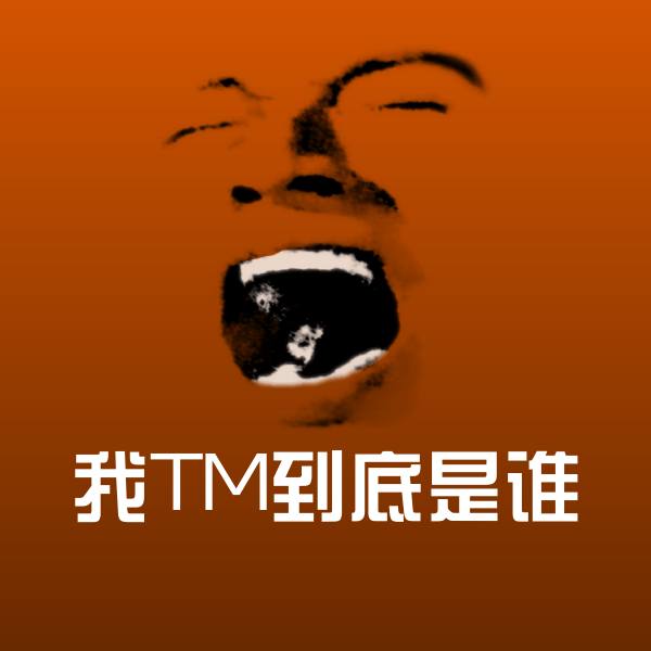 我TM到底是谁表情包