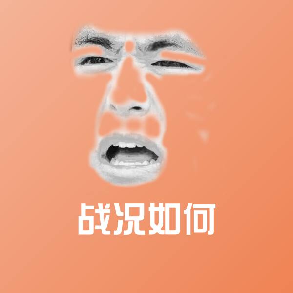 战况如何斗图图片