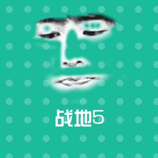 高清战地5表情图片