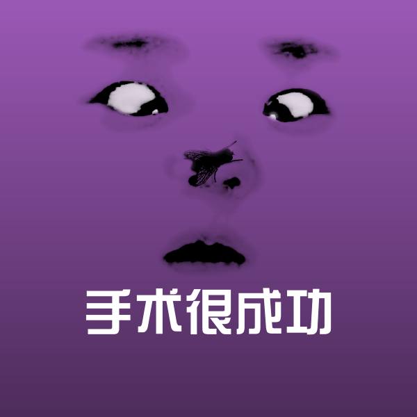 手术很成功斗图神器