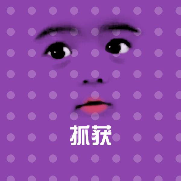 抓获微信表情包