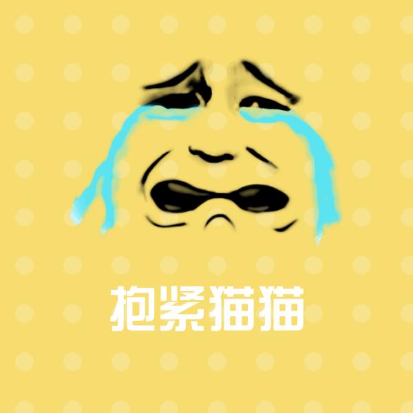 可爱抱紧猫猫表情