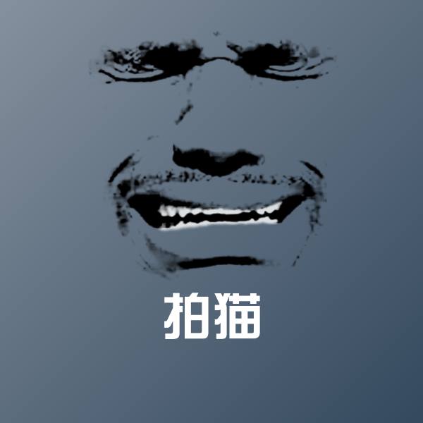 拍猫斗图图片