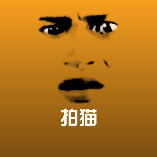 搞笑拍猫表情