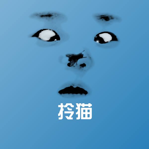 可爱拎猫表情