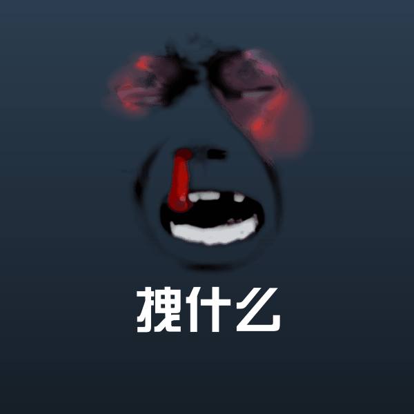 拽什么斗图图片