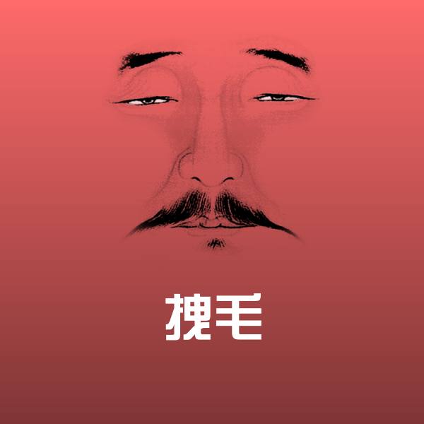 拽毛斗图神器