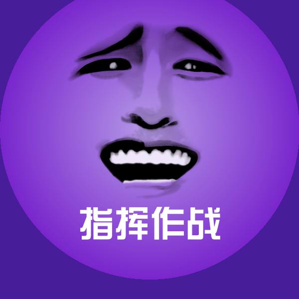 指挥作战表情包