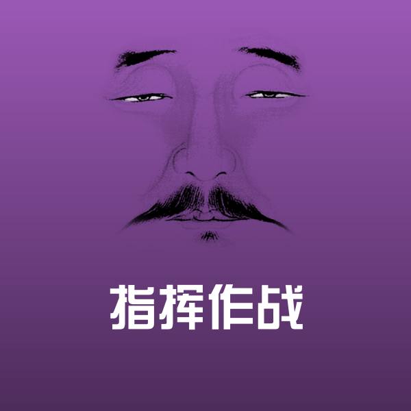 指挥作战沙雕表情包