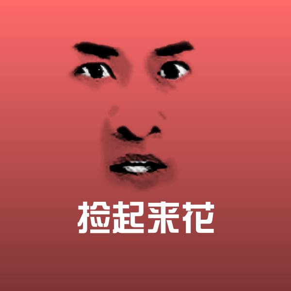 捡起来花表情包