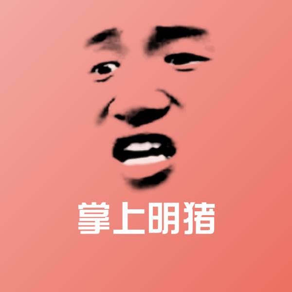 掌上明猪聊天表情