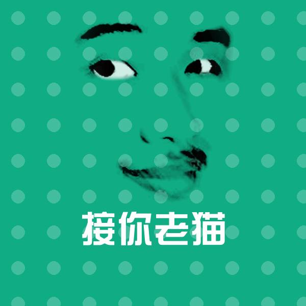 原创接你老猫表情包