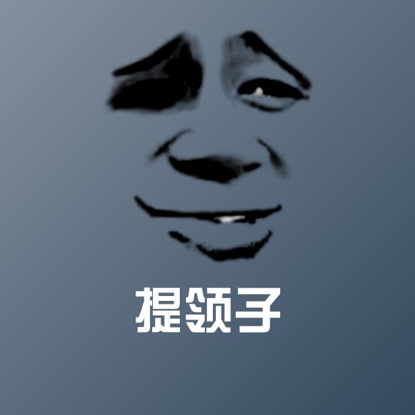 提领子表情包