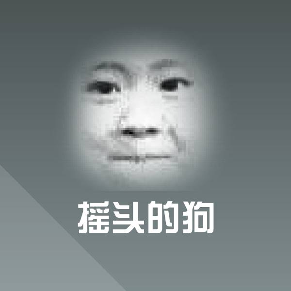 高清摇头的狗表情图片