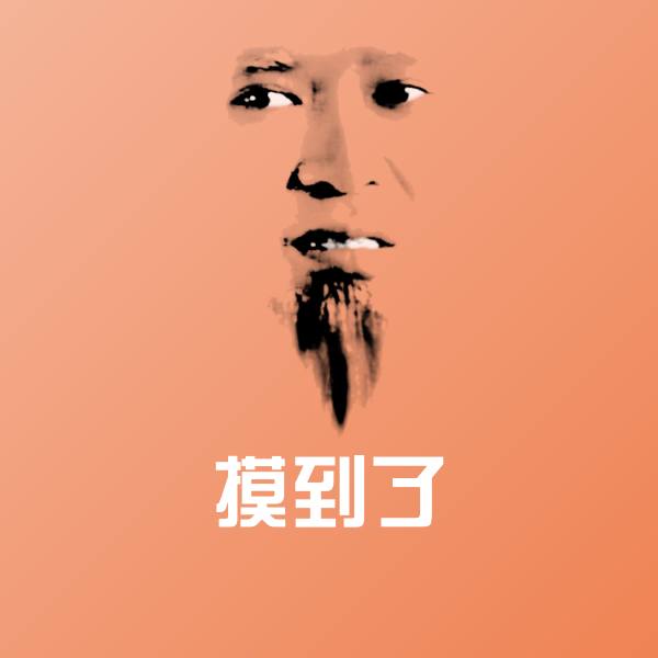 摸到了表情包