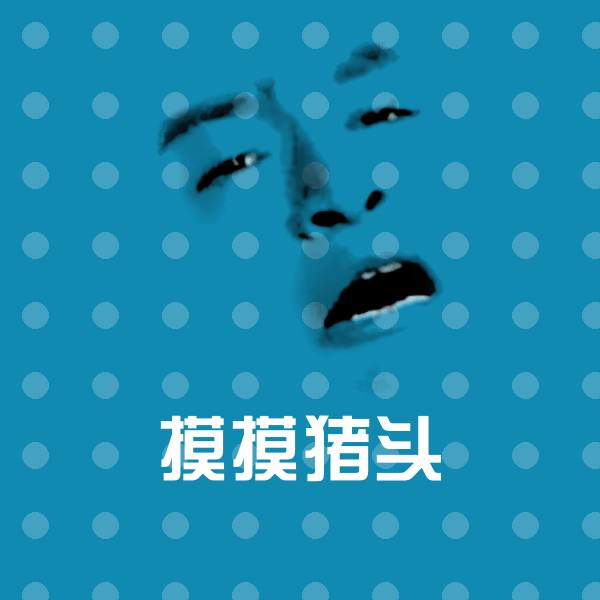 摸摸猪头表情包
