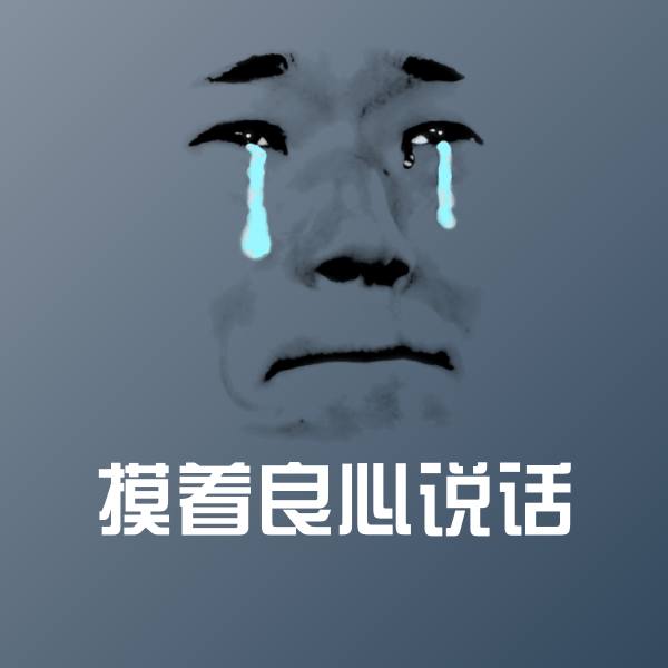 摸着良心说话表情包 第1张