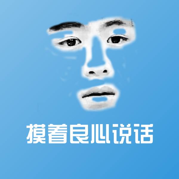 摸着良心说话聊天表情
