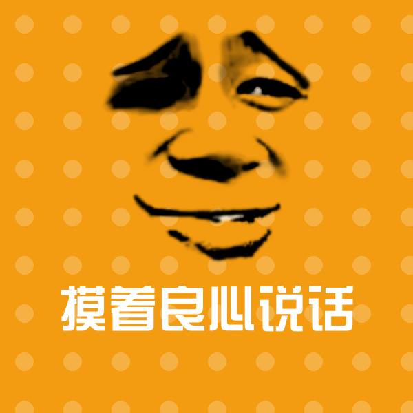 摸着良心说话微信表情包