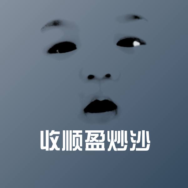 收顺盈炒沙斗图神器
