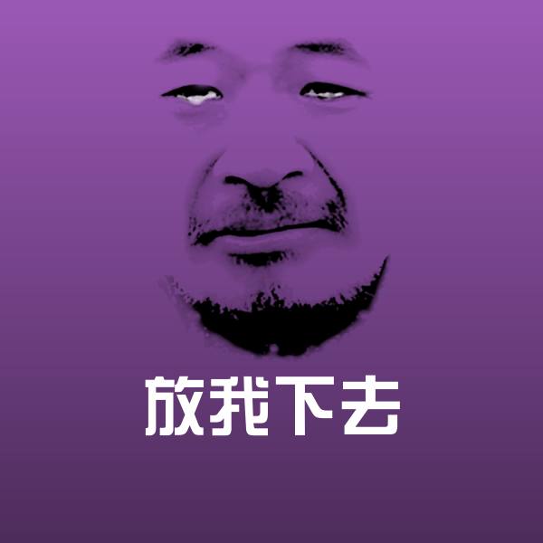 搞笑放我下去表情 第1张