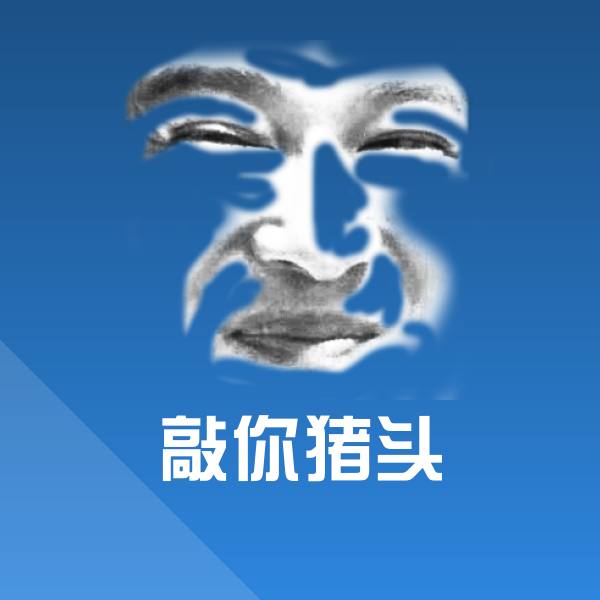 敲你猪头表情包