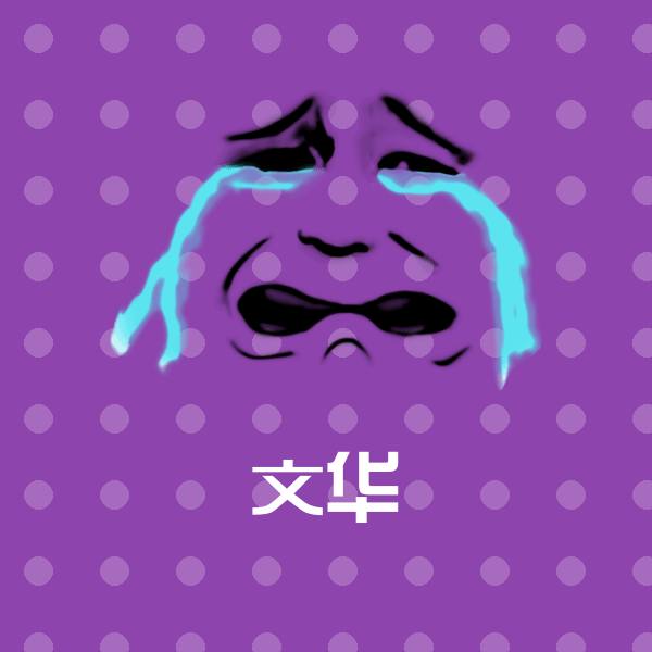 文华聊天表情