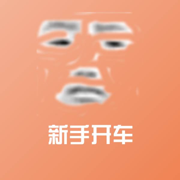 原创新手开车表情包