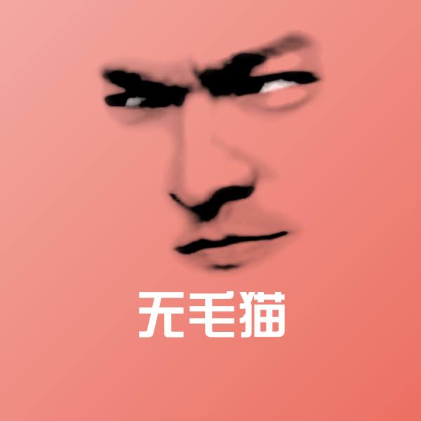无毛猫聊天表情