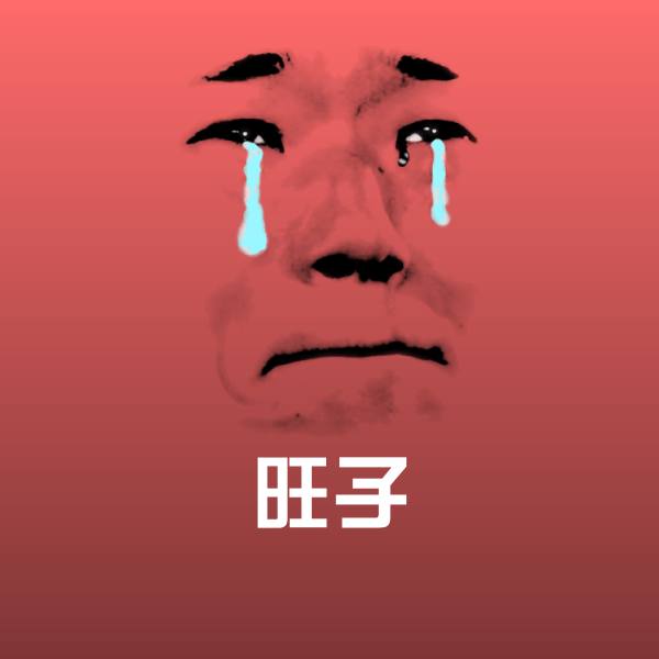旺子斗图图片 第1张
