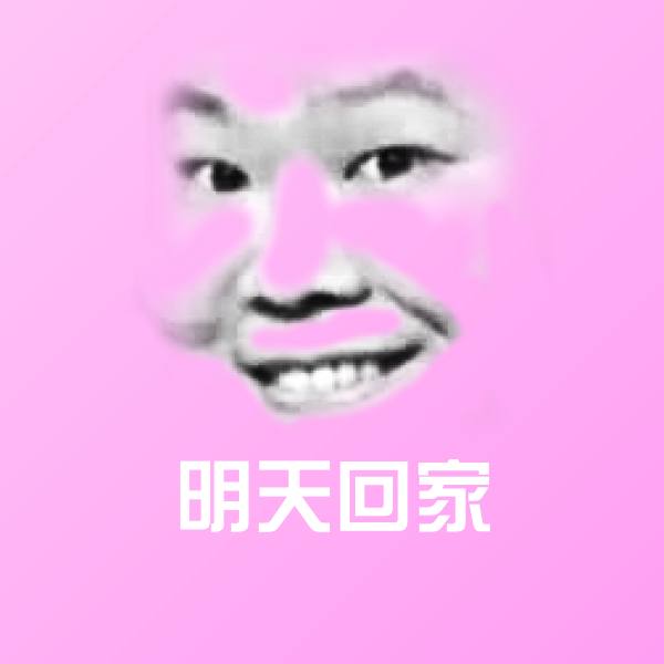 明天回家斗图神器