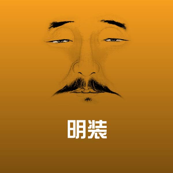 明装表情包