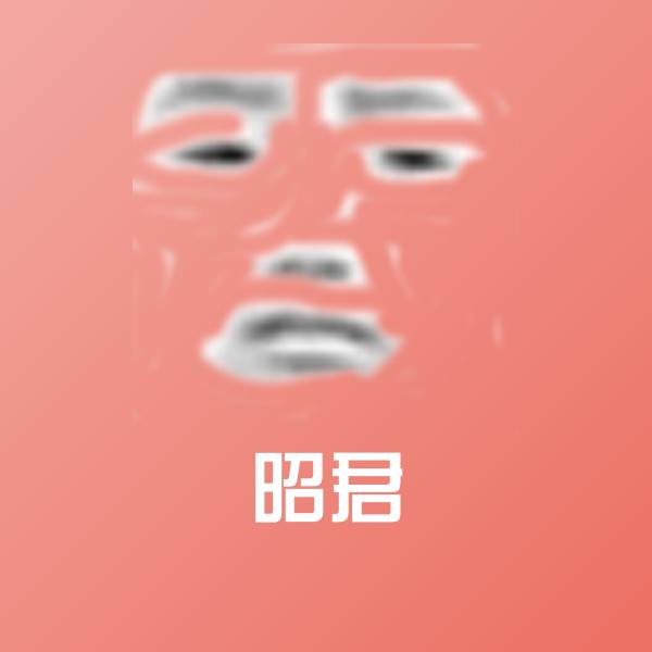 搞笑昭君表情