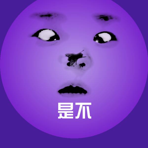 是不表情包