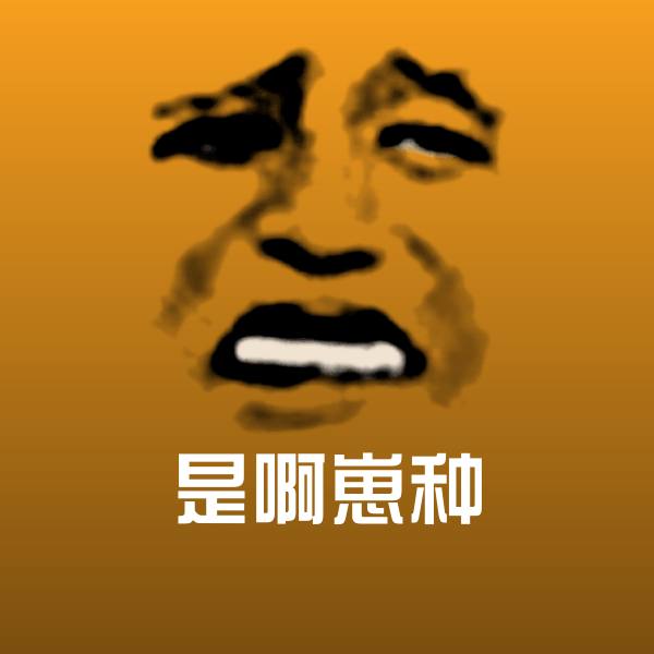 是啊崽种表情包