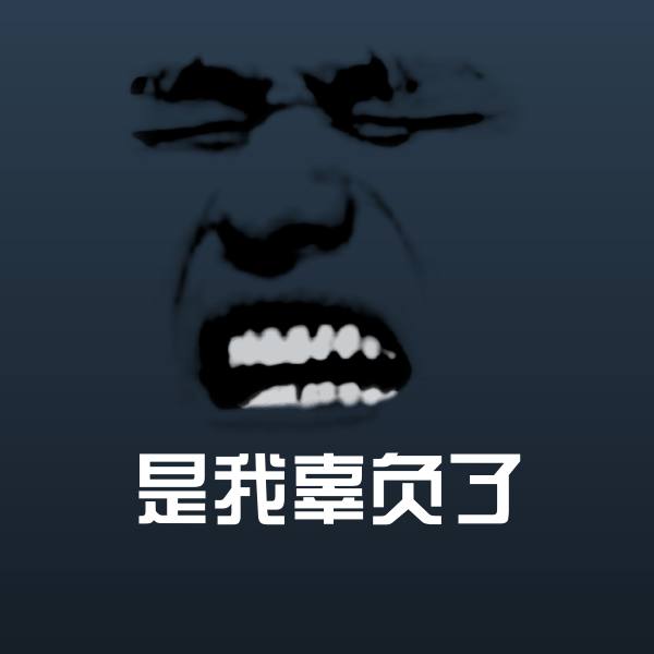 是我辜负了表情包