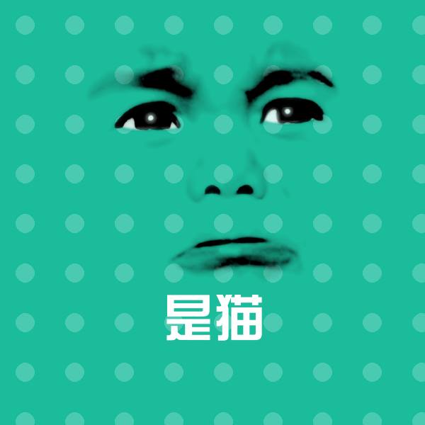 可爱是猫表情 第1张