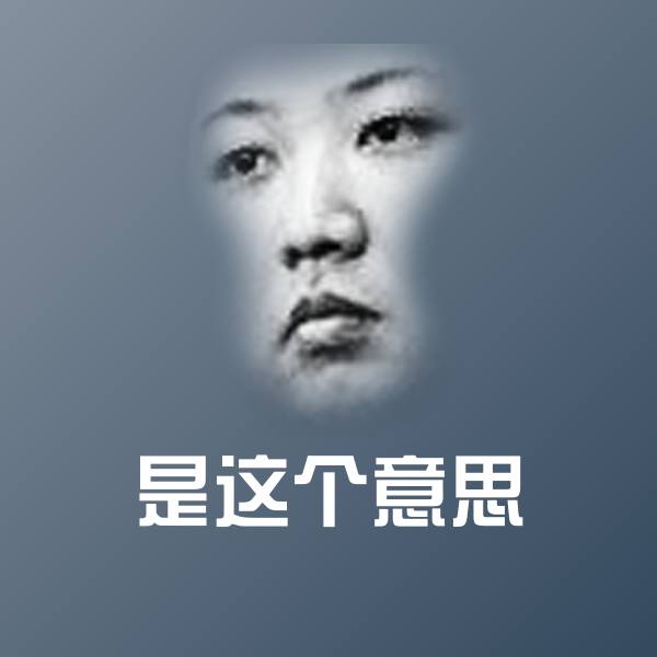 是这个意思微信表情包
