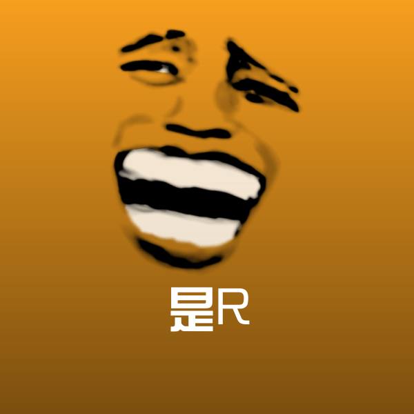 是R表情包