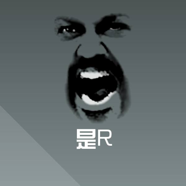 是R表情包