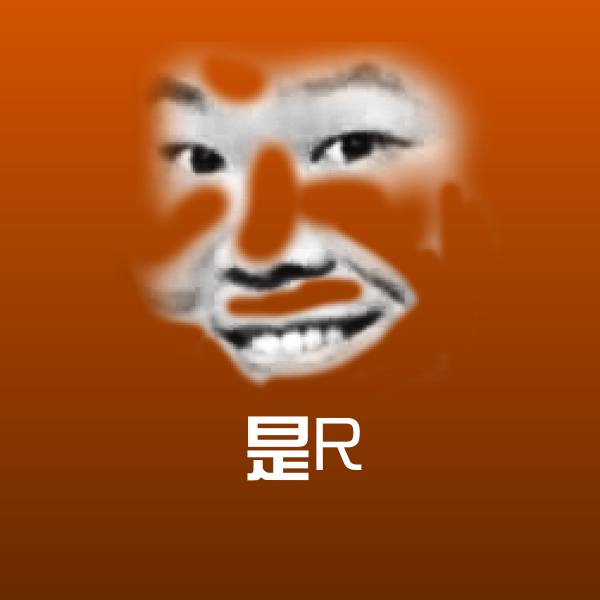 是R表情包