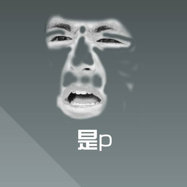 是p聊天表情