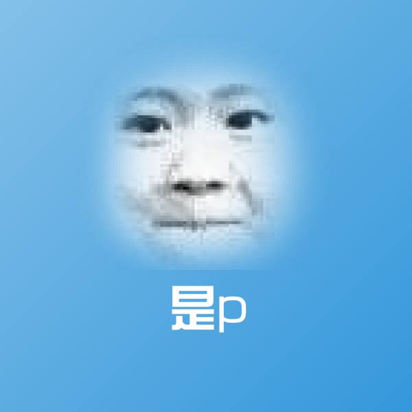 是p聊天表情