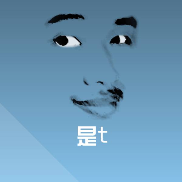 是t表情包