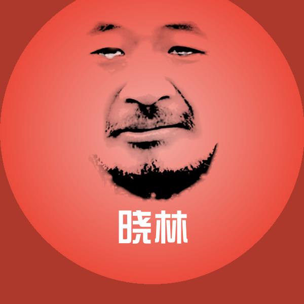 晓林斗图图片
