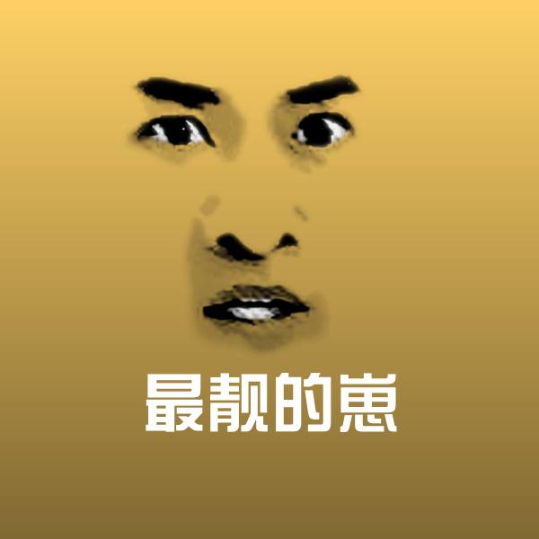 最靓的崽斗图图片