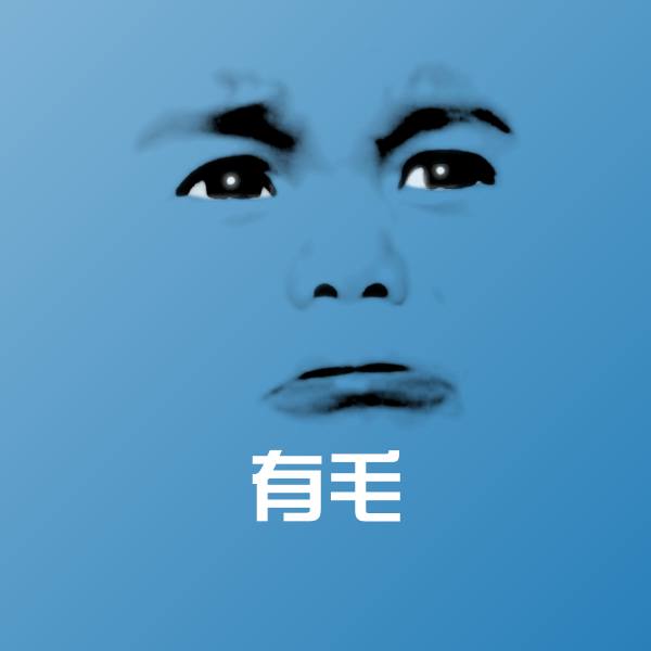 有毛表情包