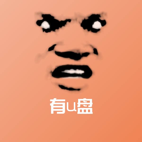 有u盘微信表情包