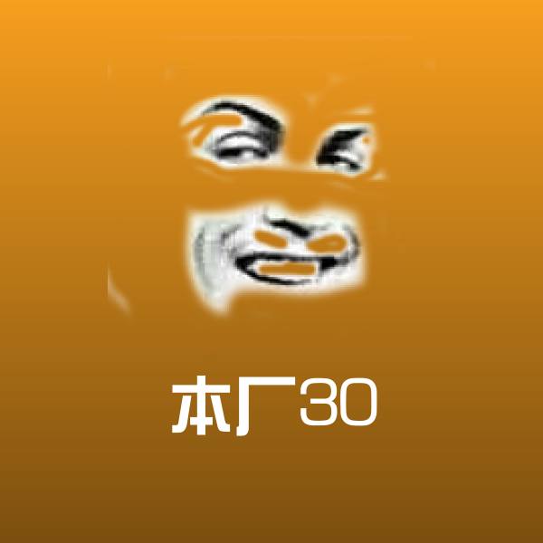 本厂30沙雕表情包