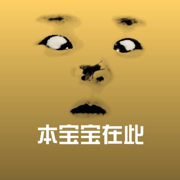 本宝宝在此斗图神器